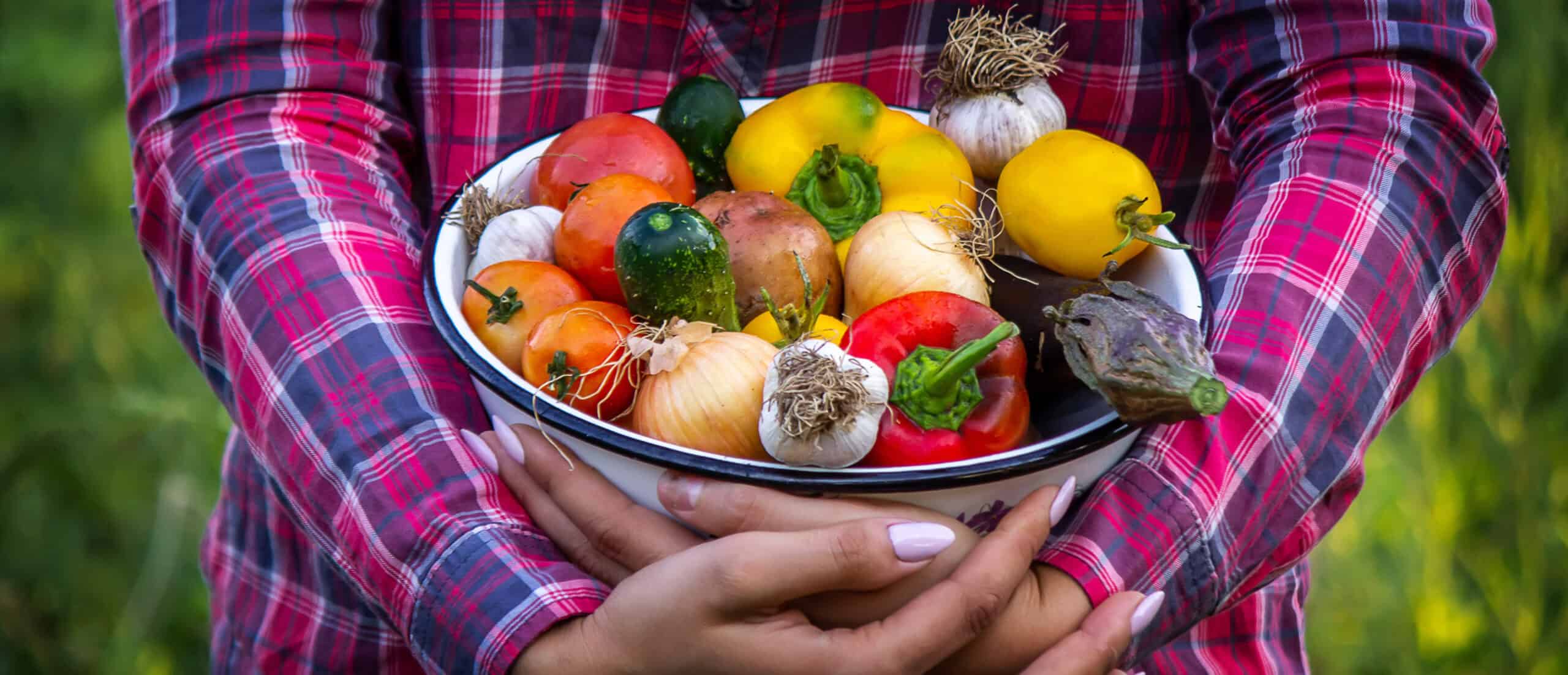 Fresh homegrown organic vegetables including tomatoes, onions, garlic, peppers, and zucchini displayed in a white enamel bowl. Perfect for local vegetable gardening and farmer's markets.