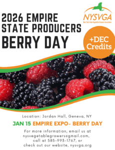 A vibrant image of ripe blackberries and raspberries at a vegetable growers' event, promoting NYSVGA's Berry Day with educational opportunities for farmers and enthusiasts in New York.